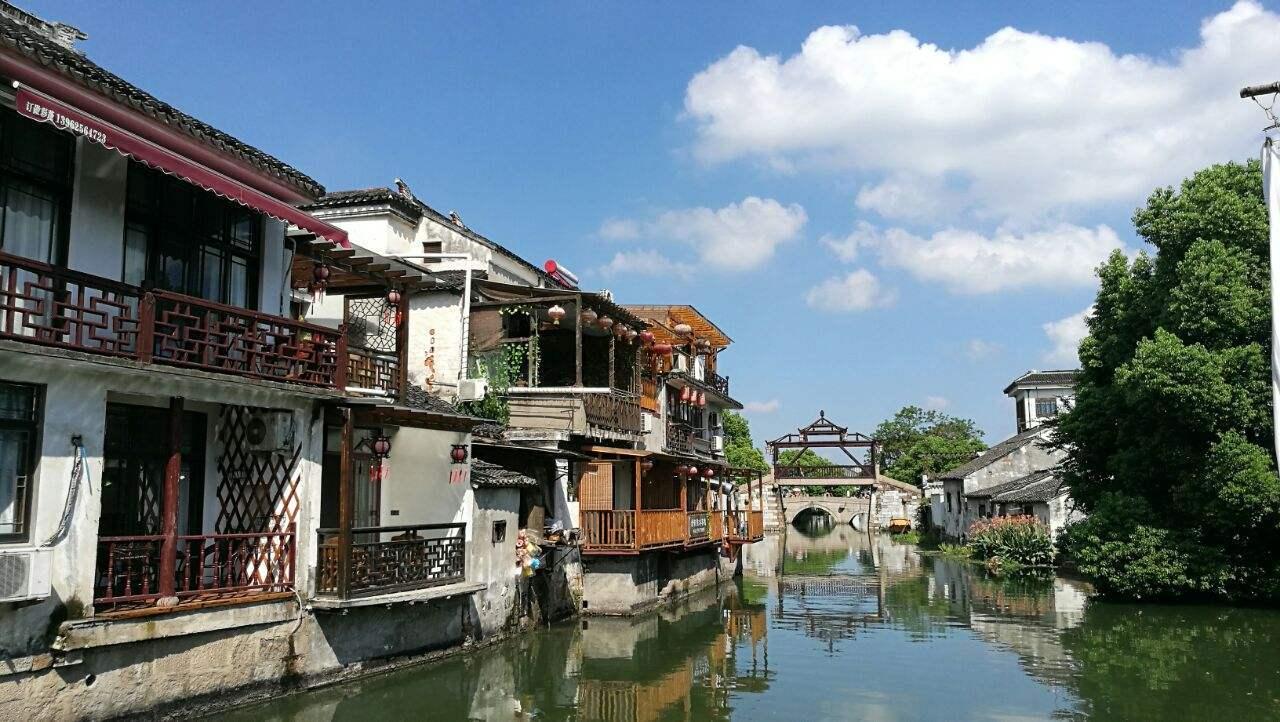 救援快乐的兔子